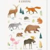 Affiche Animaux D'Europe Living Earth LILIPINSO Marron - Lilipinso -Boutique Vertbaudet affiche animaux deurope living earth lilipinso