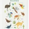 Affiche Animaux D'Océanie Living Earth LILIPINSO Marron - Lilipinso -Boutique Vertbaudet affiche animaux doceanie living earth lilipinso