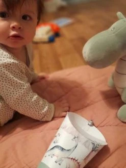 Coffret Lampe Nomade 5 En 1 Dinosauria MAISON POLOCHON Vert Sauge - Polochon 8 Coffret Lampe Nomade 5 En 1 Dinosauria MAISON POLOCHON Vert Sauge - Polochon -Boutique Vertbaudet coffret lampe nomade 5 en 1 dinosauria maison polochon 2