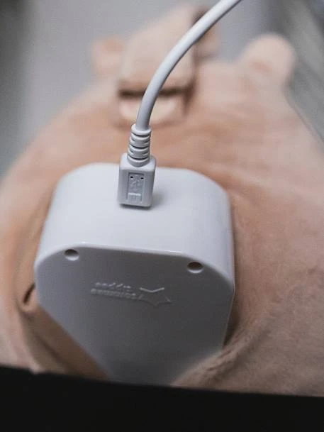 Peluche Aide Au Sommeil Rechargeable TOMMEE TIPPEE Bennie L’ourson Beige - Tommee Tippee 7 Peluche Aide Au Sommeil Rechargeable TOMMEE TIPPEE Bennie L’ourson Beige - Tommee Tippee – Image 5