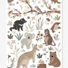 Stickers Animaux D'Australie Lilydale LILIPINSO Gris - Lilipinso -Boutique Vertbaudet stickers animaux daustralie lilydale lilipinso